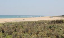 property, real estate, realty, property for sale, land for sale, land, beachfront, Arugum Bay, Sri Lanka