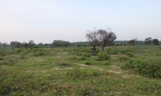 property, real estate, realty, property for sale, land for sale, land, beachfront, Arugum Bay, Sri Lanka