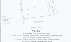 property, real estate, realty, property for sale, land for sale, land, beachfront, Arugum Bay, Sri Lanka
