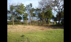 property, real estate, realty, property for sale, land for sale, land, beachfront, Arugum Bay, Sri Lanka