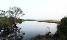 property, real estate, realty, property for sale, land for sale, land, beachfront, Arugum Bay, Sri Lanka