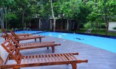 property, real estate, realty, hotels for sale, resorts for sale, resort, hotel, luxury, Sigiriya, Sri Lanka